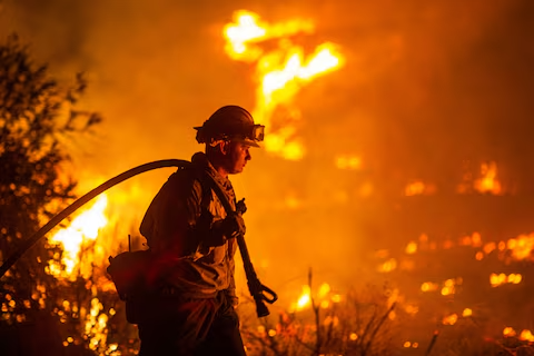 At the Hughes Fire in Southern California, close to Castaic Lake, a fireman fights fierce flames.