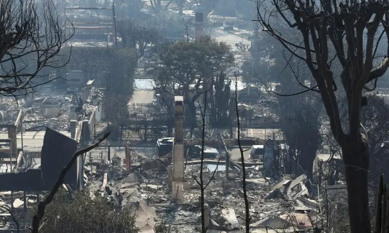 Burned houses in the Pacific Palisades neighborhood after the Palisades Fire during the Los Angeles wildfires, January 9, 2025.